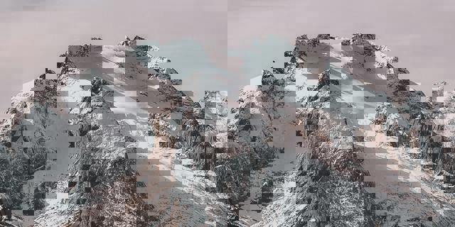 check drop down with commission